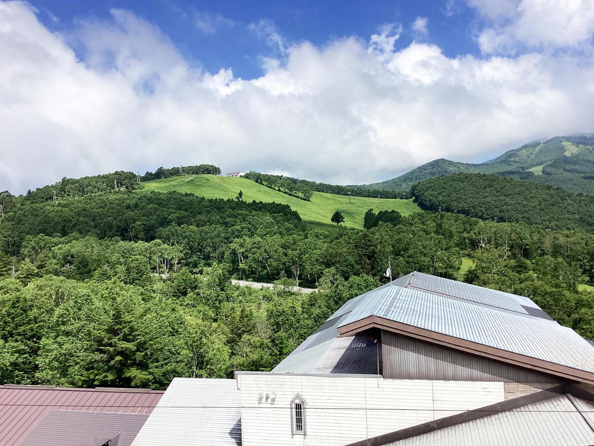 Shiga Ichii Hotel Yamanouchi  Oda fotoğraf